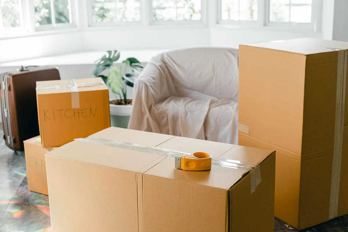Animal Hoarding Cleanup in Troy, TX